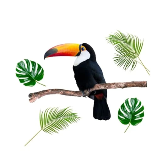 STC Stickers Muraux Adhésif Décoratif Mural Toucan 77,3x65,6cm 3 STC Stickers Muraux Adhésif Décoratif Mural Toucan 77,3x65,6cm
