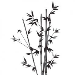 STC Stickers Muraux Autocollant Mural Bambou 78x57,3cm