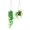 STC Stickers Muraux Autocollant Mural Suspensions Plantes 71x51cm 2 STC Stickers Muraux Autocollant Mural Suspensions Plantes 71x51cm -Pêle-mêle photos Soldes autocollant mural suspensions plantes 71x51cm
