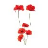 STC Stickers Muraux Autocollant Pour Vitres Coquelicots 44,5x51cm -Pêle-mêle photos Soldes autocollant pour vitres coquelicots 44 5x51cm