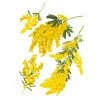 STC Stickers Muraux Décoration Murale Adhésive Mimosa 68x46cm -Pêle-mêle photos Soldes decoration murale adhesive mimosa 68x46cm