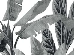 Hexoa Papiers Peints Papier Peint Bananier En Monochrome 53x840cm -Pêle-mêle photos Soldes papier peint bananier en monochrome 53x840cm 2