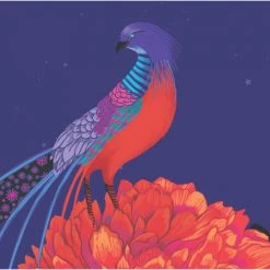 Acte Deco Papiers Peints Papier-peint Faisan Nocturne - X -Pêle-mêle photos Soldes papier peint faisan nocturne x 9