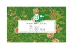 Yeda Design Papiers Peints Papier Peint Motifs Fleurs Rose Vert 425x260cm 9 Yeda Design Papiers Peints Papier Peint Motifs Fleurs Rose Vert 425x260cm -Pêle-mêle photos Soldes papier peint motifs fleurs rose vert 425x260cm 3