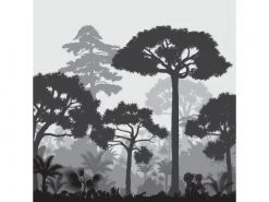 Le Grand Cirque Papiers Peints Papier Peint Panoramique Adhésif Douanier Rousseau 3m50x2m50 -Pêle-mêle photos Soldes papier peint panoramique adhesif douanier rousseau 3m50x2m50 2