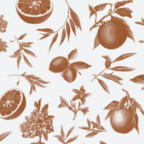 Acte Deco Papiers Peints Papier Peint Panoramique Agrumes - 250x425 7 Acte Deco Papiers Peints Papier Peint Panoramique Agrumes - 250x425 – Image 5