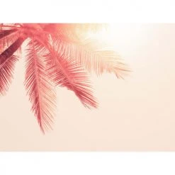 Acte Deco Papiers Peints Papier Peint Panoramique Blurry Red - 250x170 10 Acte Deco Papiers Peints Papier Peint Panoramique Blurry Red - 250x170 -Pêle-mêle photos Soldes papier peint panoramique blurry red 250x170 4