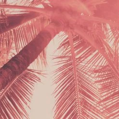 Acte Deco Papiers Peints Papier Peint Panoramique Blurry Red - 250x340 -Pêle-mêle photos Soldes papier peint panoramique blurry red 250x340 5