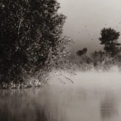 Acte Deco Papiers Peints Papier Peint Panoramique Brumes Matinales 06 - 250x255 -Pêle-mêle photos Soldes papier peint panoramique brumes matinales 06 250x255 4