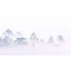 Acte Deco Papiers Peints Papier Peint Panoramique Brumes Matinales 08 - 250x170 -Pêle-mêle photos Soldes papier peint panoramique brumes matinales 08 250x170 2