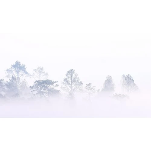 Acte Deco Papiers Peints Papier Peint Panoramique Brumes Matinales 08 - 250x425 4 Acte Deco Papiers Peints Papier Peint Panoramique Brumes Matinales 08 - 250x425 – Image 2