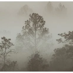 Acte Deco Papiers Peints Papier Peint Panoramique Brumes Matinales - 250x340 -Pêle-mêle photos Soldes papier peint panoramique brumes matinales 250x340 5
