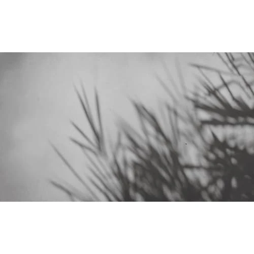 Acte Deco Papiers Peints Papier Peint Panoramique Concrete Bamboo - 250x425 4 Acte Deco Papiers Peints Papier Peint Panoramique Concrete Bamboo - 250x425 – Image 2