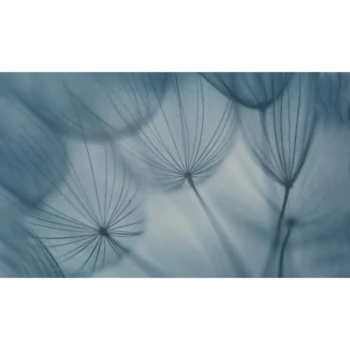 Acte Deco Papiers Peints Papier Peint Panoramique Dandelion - 250x425 4 Acte Deco Papiers Peints Papier Peint Panoramique Dandelion - 250x425 – Image 2