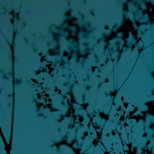 Acte Deco Papiers Peints Papier Peint Panoramique Douceur Végétale - 250x170 5 Acte Deco Papiers Peints Papier Peint Panoramique Douceur Végétale - 250x170 – Image 3