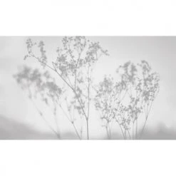 Acte Deco Papiers Peints Papier Peint Panoramique Douceur Végétale - 250x340 9 Acte Deco Papiers Peints Papier Peint Panoramique Douceur Végétale - 250x340 -Pêle-mêle photos Soldes papier peint panoramique douceur vegetale 250x340 20