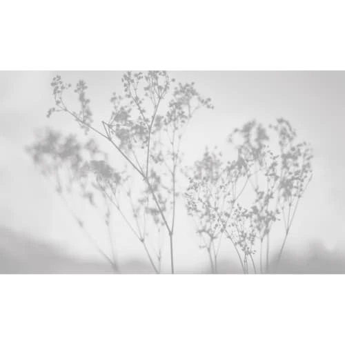 Acte Deco Papiers Peints Papier Peint Panoramique Douceur Végétale - 250x340 4 Acte Deco Papiers Peints Papier Peint Panoramique Douceur Végétale - 250x340 – Image 2