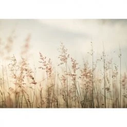 Lé Papiers De Ninon Papiers Peints Papier Peint Panoramique En Papier Beige Clair 384x270 -Pêle-mêle photos Soldes papier peint panoramique en papier beige clair 384x270 5