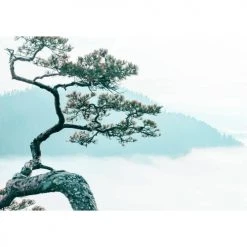 Lé Papiers De Ninon Papiers Peints Papier Peint Panoramique En Papier Blanc 384x270 -Pêle-mêle photos Soldes papier peint panoramique en papier blanc 384x270 3