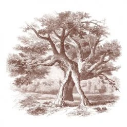 Lé Papiers De Ninon Papiers Peints Papier Peint Panoramique En Papier Marron GlacÃ© 288x270 -Pêle-mêle photos Soldes papier peint panoramique en papier marron glacac 288x270 4