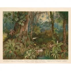 Lé Papiers De Ninon Papiers Peints Papier Peint Panoramique En Papier Multicolore 336x265 -Pêle-mêle photos Soldes papier peint panoramique en papier multicolore 336x265 3