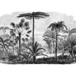 Lé Papiers De Ninon Papiers Peints Papier Peint Panoramique En Papier Noir 432x300 -Pêle-mêle photos Soldes papier peint panoramique en papier noir 432x300 6