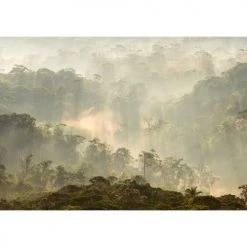 Lé Papiers De Ninon Papiers Peints Papier Peint Panoramique En Papier Vert Kaki 384x270 9 Lé Papiers De Ninon Papiers Peints Papier Peint Panoramique En Papier Vert Kaki 384x270 -Pêle-mêle photos Soldes papier peint panoramique en papier vert kaki 384x270 2