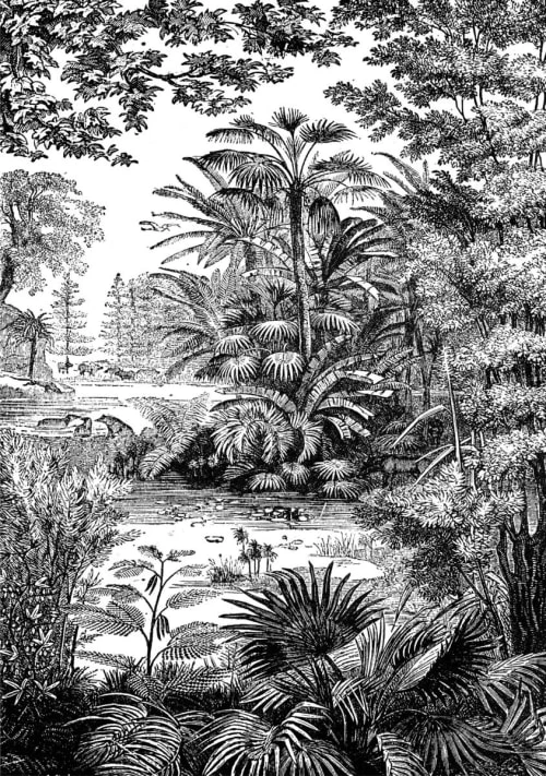 Ciment Factory Papiers Peints Papier Peint Panoramique Gravure Tropiques 270x195cm 4 Ciment Factory Papiers Peints Papier Peint Panoramique Gravure Tropiques 270x195cm – Image 2