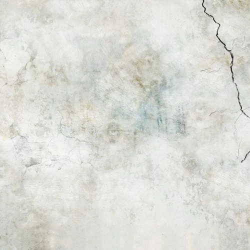 99Déco Papiers Peints Papier Peint Panoramique Intissé 336x270cm 5 99Déco Papiers Peints Papier Peint Panoramique Intissé 336x270cm – Image 3