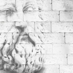 99Déco Papiers Peints Papier Peint Panoramique Intissé 336x270cm -Pêle-mêle photos Soldes papier peint panoramique intisse 336x270cm 29