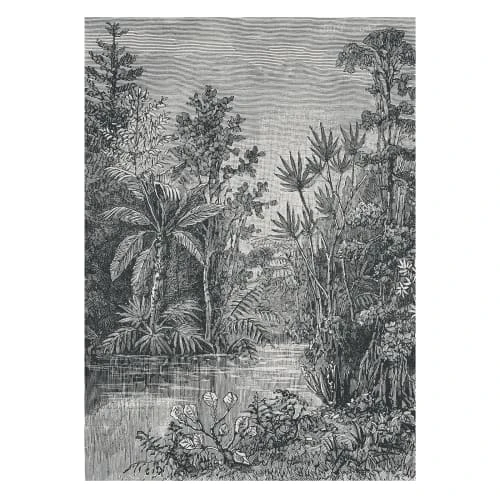 Art For The Home Papiers Peints Papier Peint Panoramique Intissé Jungle Gris 200x280cm 4 Art For The Home Papiers Peints Papier Peint Panoramique Intissé Jungle Gris 200x280cm – Image 2