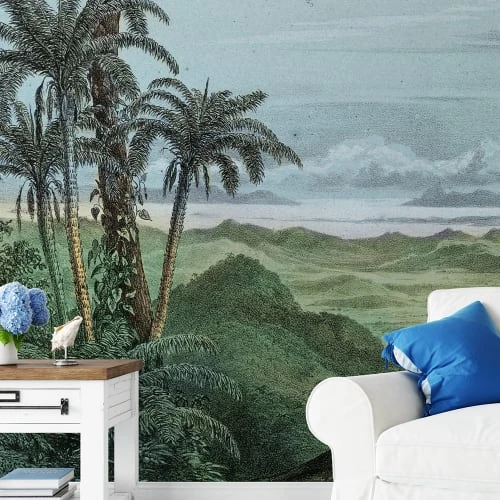 Yeda Design Papiers Peints Papier Peint Panoramique Jungle Foret Amazonienne 425x260cm 3 Yeda Design Papiers Peints Papier Peint Panoramique Jungle Foret Amazonienne 425x260cm
