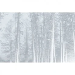 Acte Deco Papiers Peints Papier Peint Panoramique La Forêt Enchantée - 250x340 -Pêle-mêle photos Soldes papier peint panoramique la foret enchantee 250x340 8