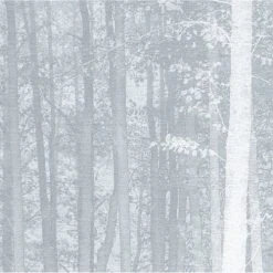 Acte Deco Papiers Peints Papier Peint Panoramique La Forêt Enchantée - 250x425 -Pêle-mêle photos Soldes papier peint panoramique la foret enchantee 250x425 10