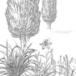 99Déco Papiers Peints Papier Peint Panoramique Paysage Provence 336x270cm -Pêle-mêle photos Soldes papier peint panoramique paysage provence 336x270cm 2