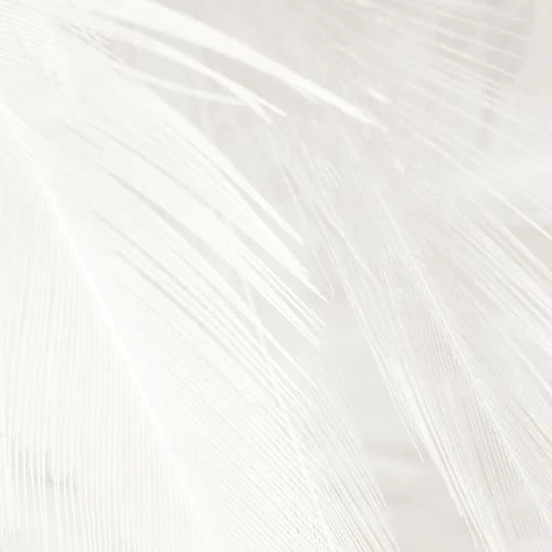 Acte Deco Papiers Peints Papier Peint Panoramique Plumes - 250x340 7 Acte Deco Papiers Peints Papier Peint Panoramique Plumes - 250x340 – Image 5