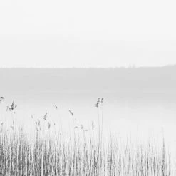 Acte Deco Papiers Peints Papier Peint Panoramique Quiet Landscape 01 - 250x170 11 Acte Deco Papiers Peints Papier Peint Panoramique Quiet Landscape 01 - 250x170 -Pêle-mêle photos Soldes papier peint panoramique quiet landscape 01 250x170 5