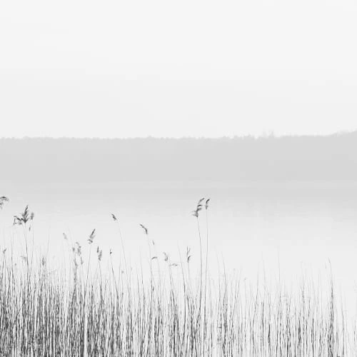 Acte Deco Papiers Peints Papier Peint Panoramique Quiet Landscape 01 - 250x340 7 Acte Deco Papiers Peints Papier Peint Panoramique Quiet Landscape 01 - 250x340 – Image 5