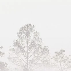 Acte Deco Papiers Peints Papier Peint Panoramique Quiet Landscape 03 - 250x170 -Pêle-mêle photos Soldes papier peint panoramique quiet landscape 03 250x170 6