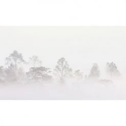 Acte Deco Papiers Peints Papier Peint Panoramique Quiet Landscape 03 - 250x255 10 Acte Deco Papiers Peints Papier Peint Panoramique Quiet Landscape 03 - 250x255 -Pêle-mêle photos Soldes papier peint panoramique quiet landscape 03 250x255 3