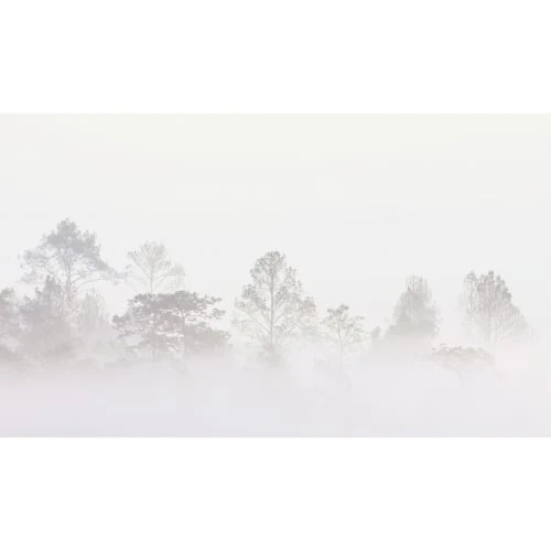 Acte Deco Papiers Peints Papier Peint Panoramique Quiet Landscape 03 - 250x340 5 Acte Deco Papiers Peints Papier Peint Panoramique Quiet Landscape 03 - 250x340 – Image 3