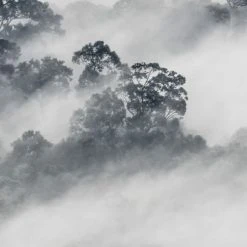 Acte Deco Papiers Peints Papier Peint Panoramique Quiet Landscape - 250x340 -Pêle-mêle photos Soldes papier peint panoramique quiet landscape 250x340 6