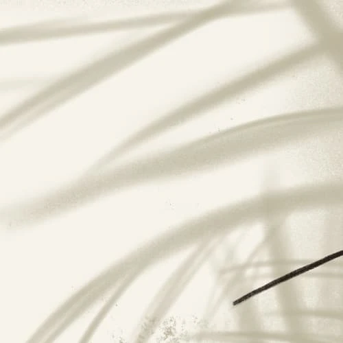 Acte Deco Papiers Peints Papier Peint Panoramique Shadow - 250x170 5 Acte Deco Papiers Peints Papier Peint Panoramique Shadow - 250x170 – Image 3