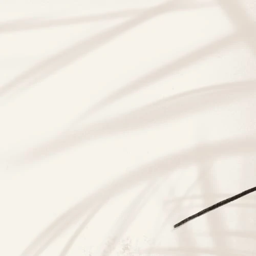 Acte Deco Papiers Peints Papier Peint Panoramique Shadow - 250x255 5 Acte Deco Papiers Peints Papier Peint Panoramique Shadow - 250x255 – Image 3