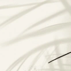 Acte Deco Papiers Peints Papier Peint Panoramique Shadow - 250x340 10 Acte Deco Papiers Peints Papier Peint Panoramique Shadow - 250x340 -Pêle-mêle photos Soldes papier peint panoramique shadow 250x340 3