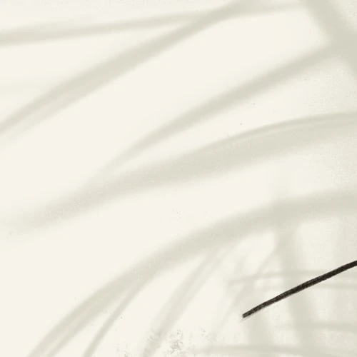 Acte Deco Papiers Peints Papier Peint Panoramique Shadow - 250x340 5 Acte Deco Papiers Peints Papier Peint Panoramique Shadow - 250x340 – Image 3