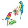 STC Stickers Muraux Perroquets 73,4x61,7cm -Pêle-mêle photos Soldes stickers muraux perroquets 73 4x61 7cm